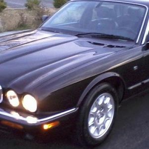 Meet your Posher, George